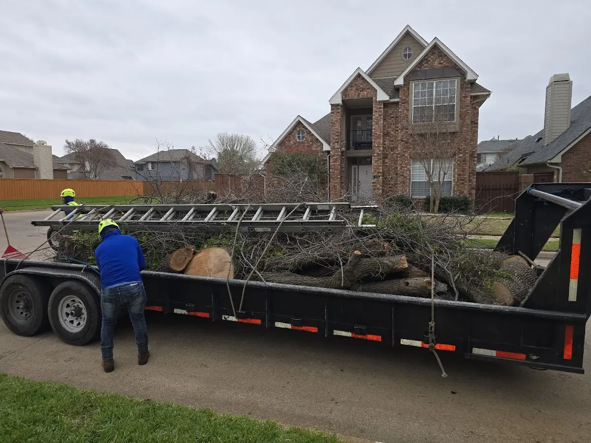 Expert Tree Removal with proper safety equipment in Howard Beach